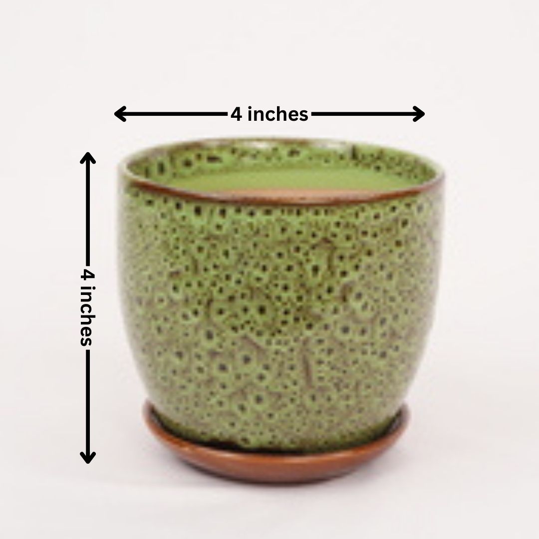 Home decor planters Bangalore