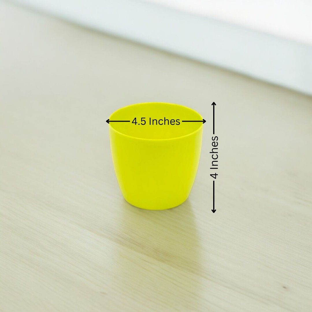 Where to buy planters in Bangalore