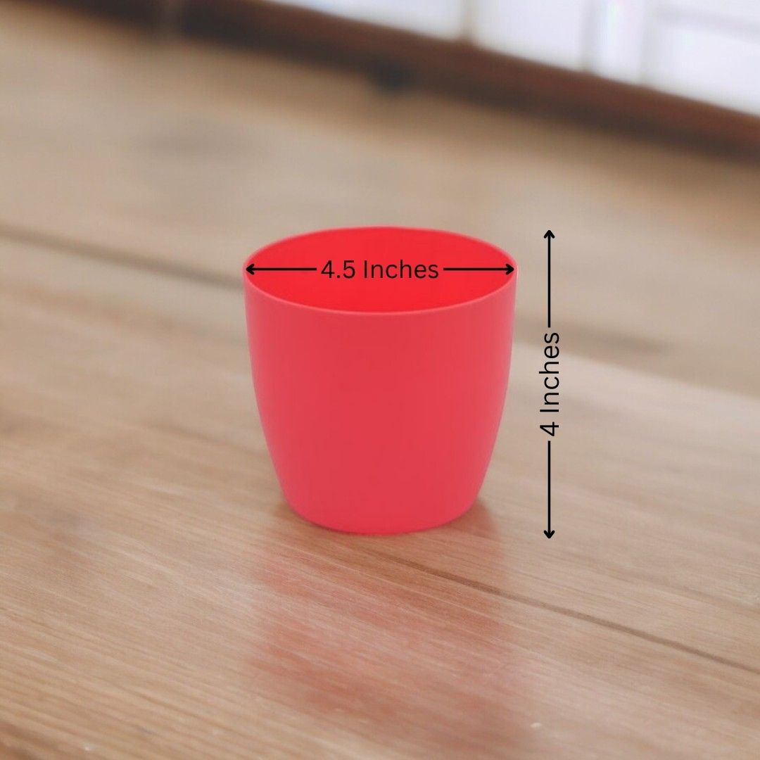 Where to buy planters in Bangalore
