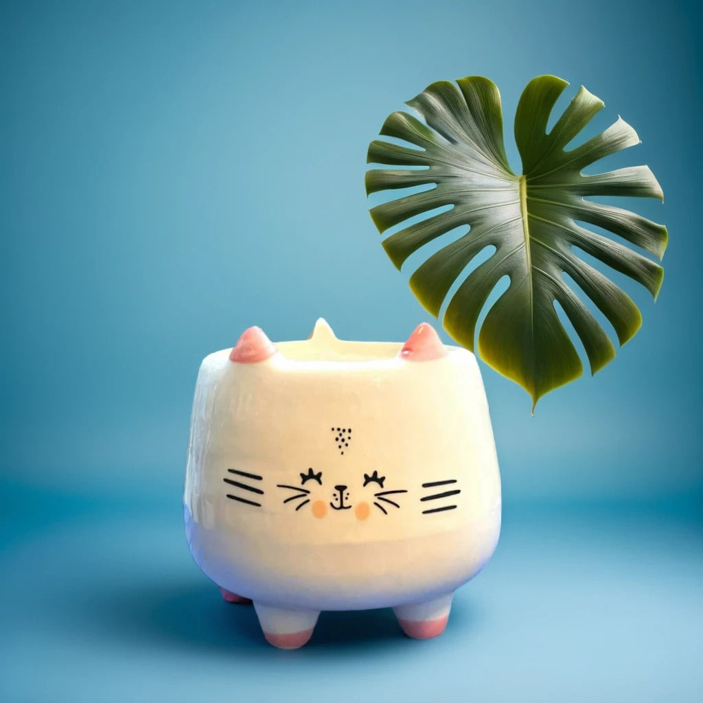 Smiling Cat Face Shape Ceramic Planter with legs in white