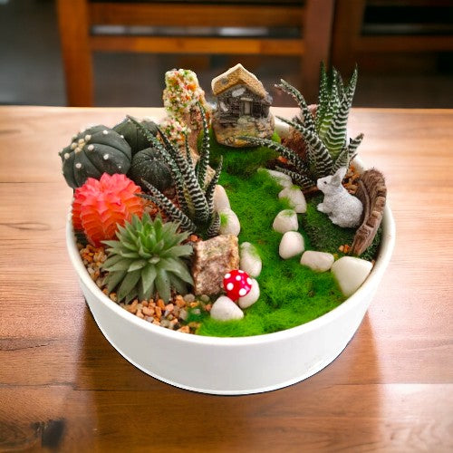 succulent plants names with pictures in Bangalore