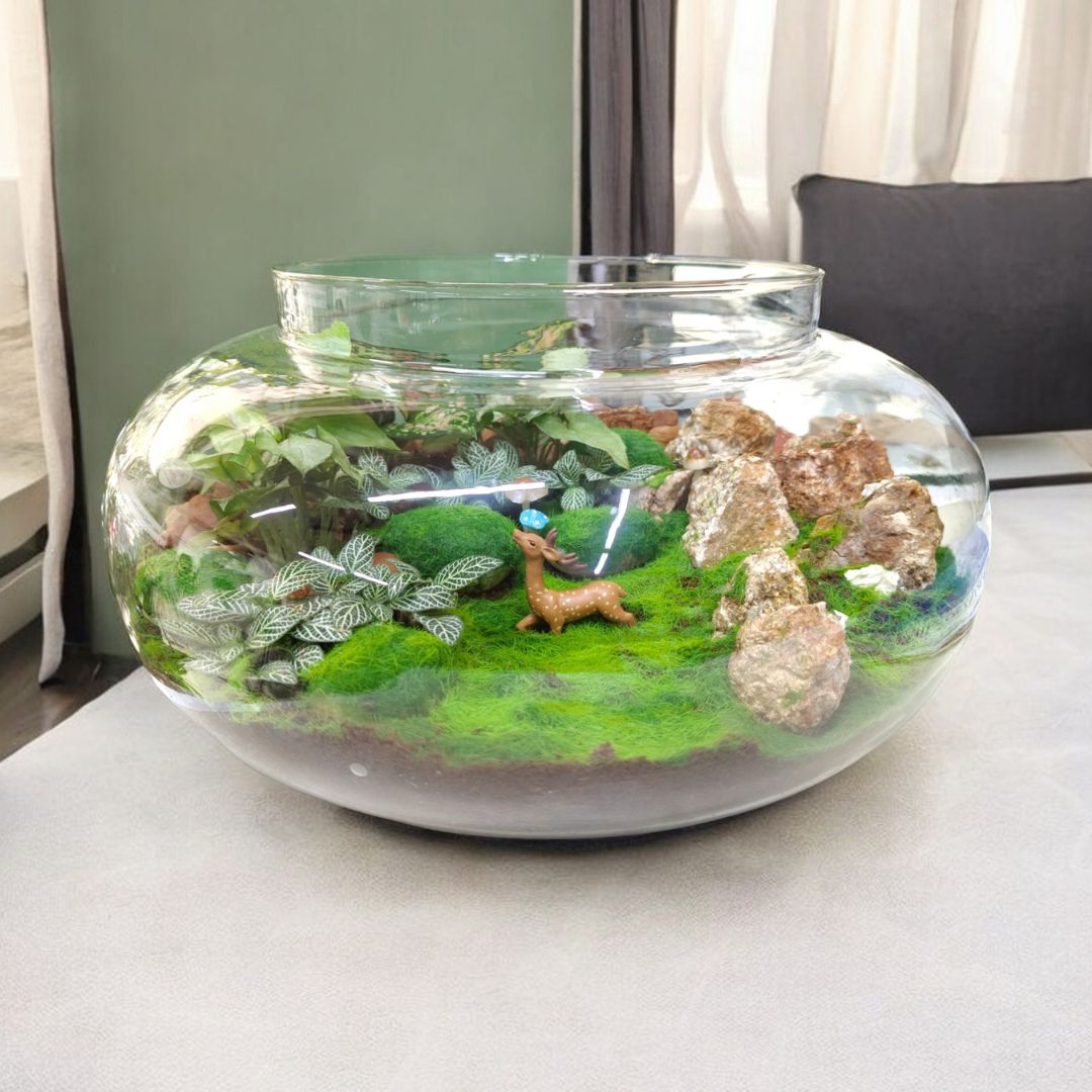 terrarium with succulents In Bangalore