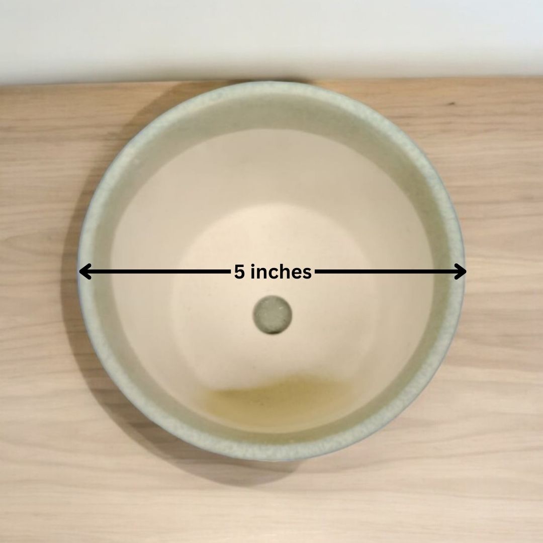 Planter pots Bangalore