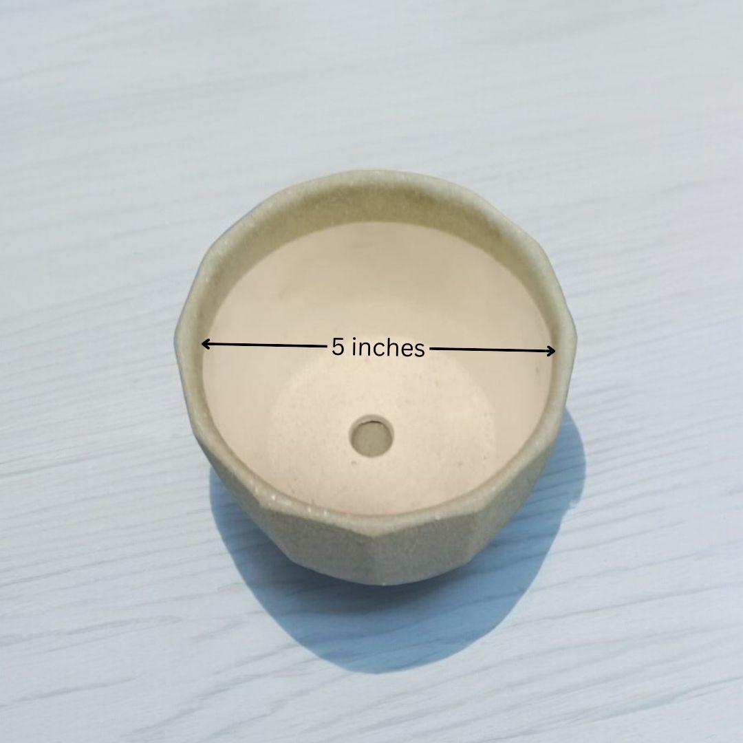 Balcony planters Bangalore