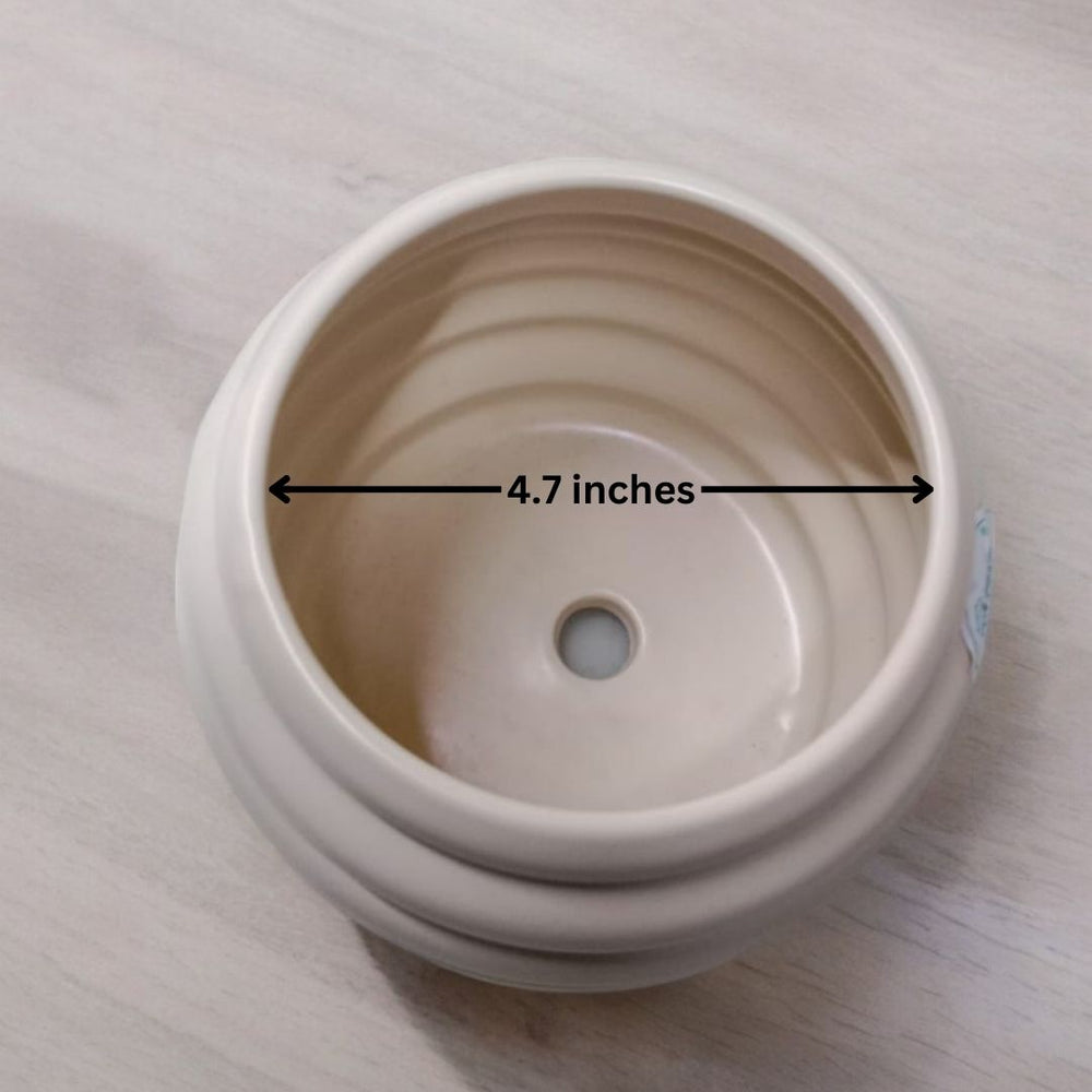 Where to buy planters in Bangalore