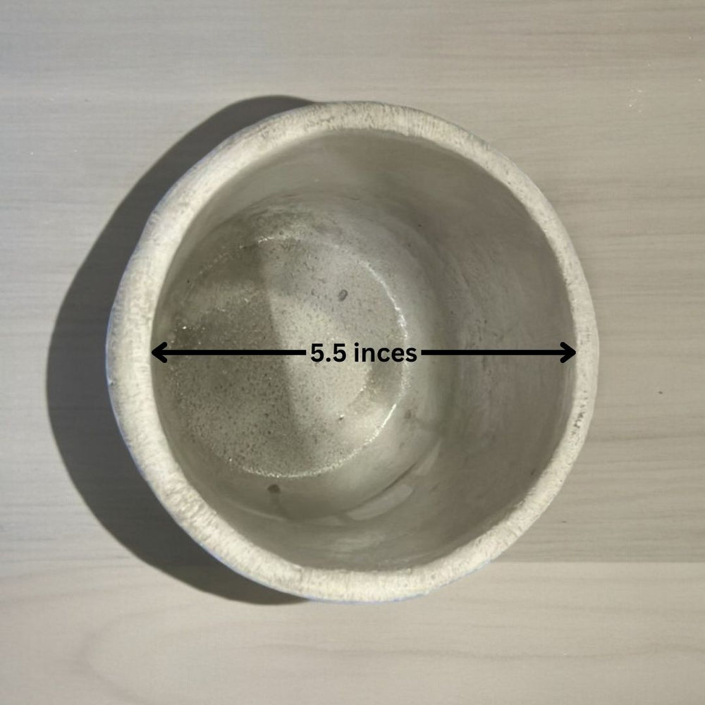 Modern planters Bangalore