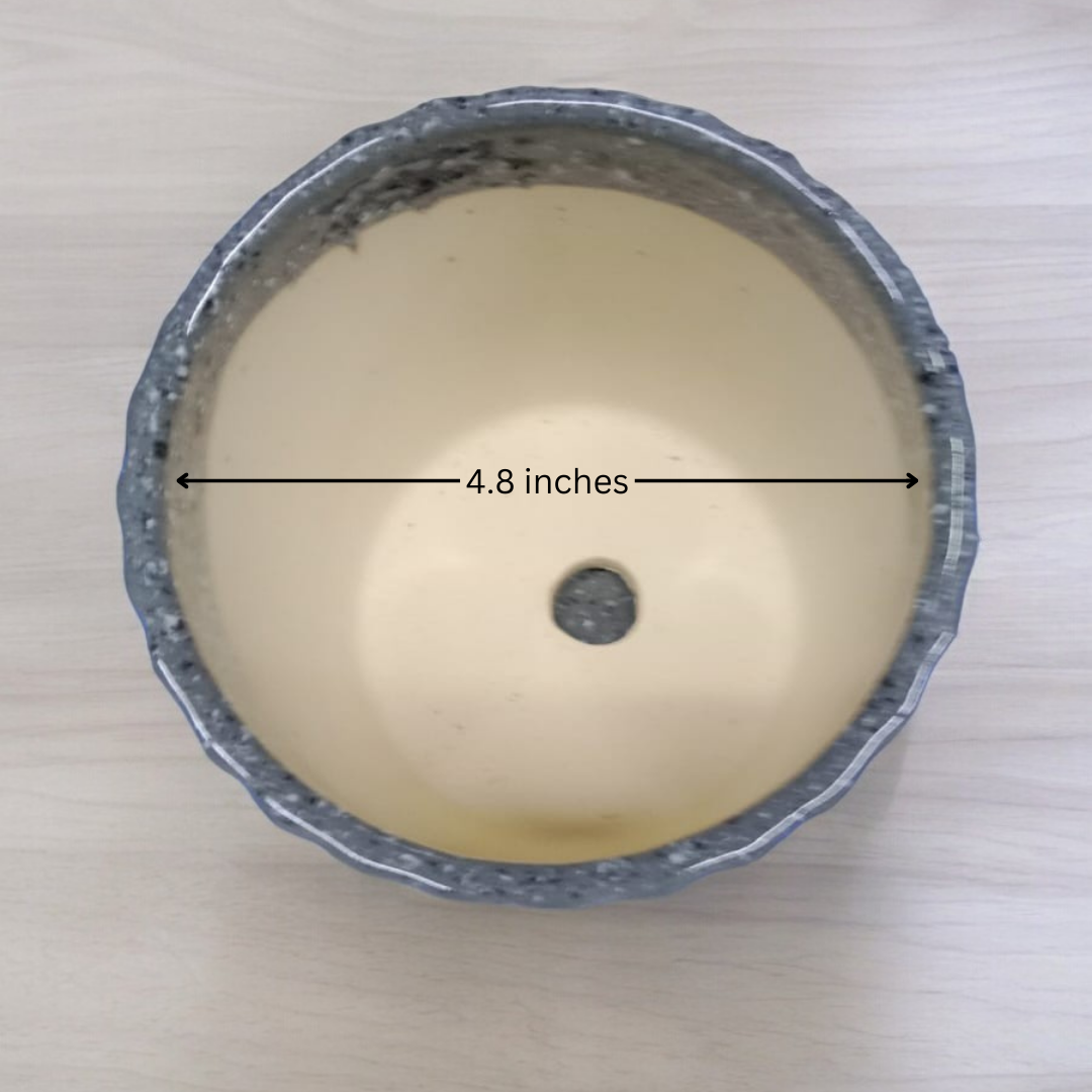 Small planters Bangalore