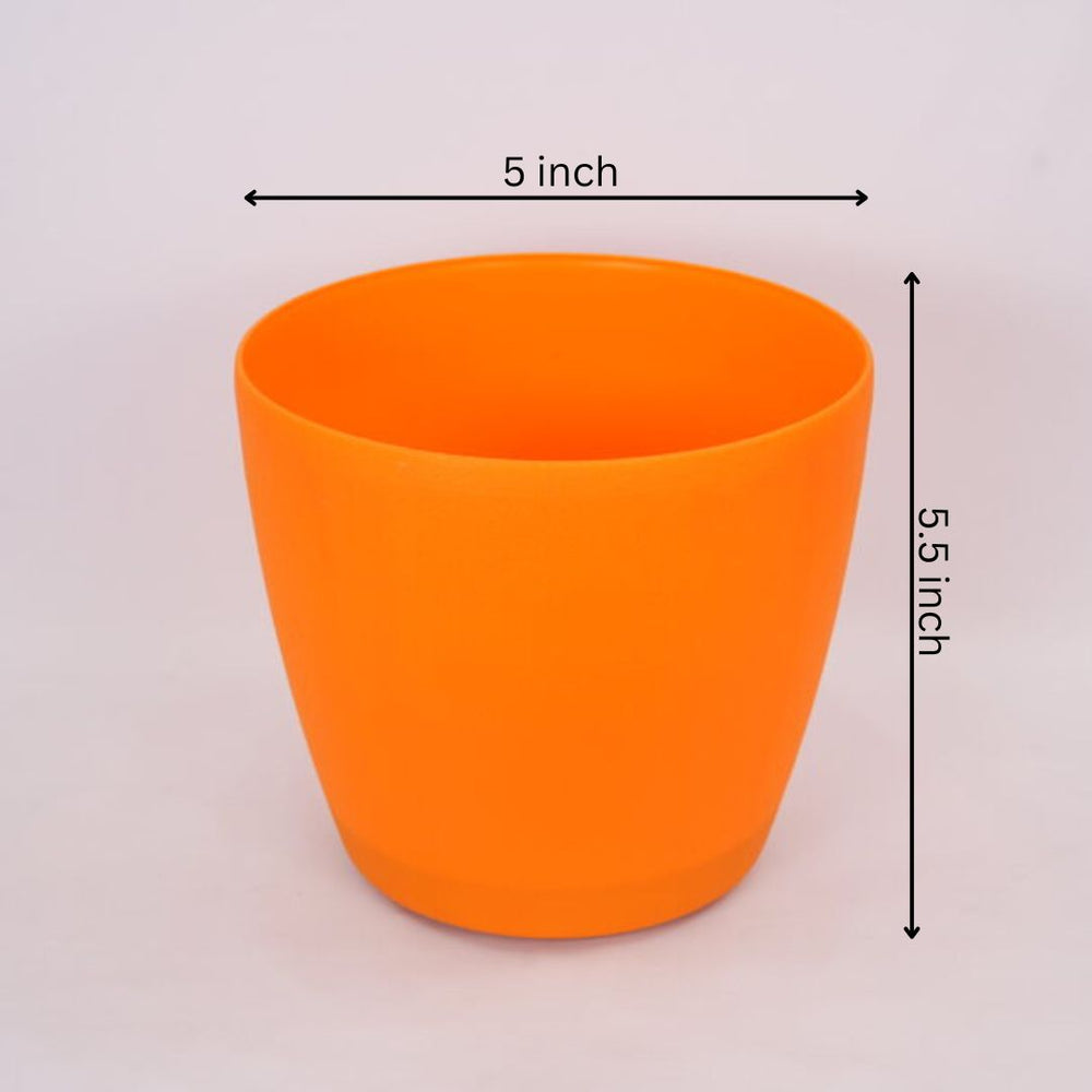 Polygon Green Plastic Round
