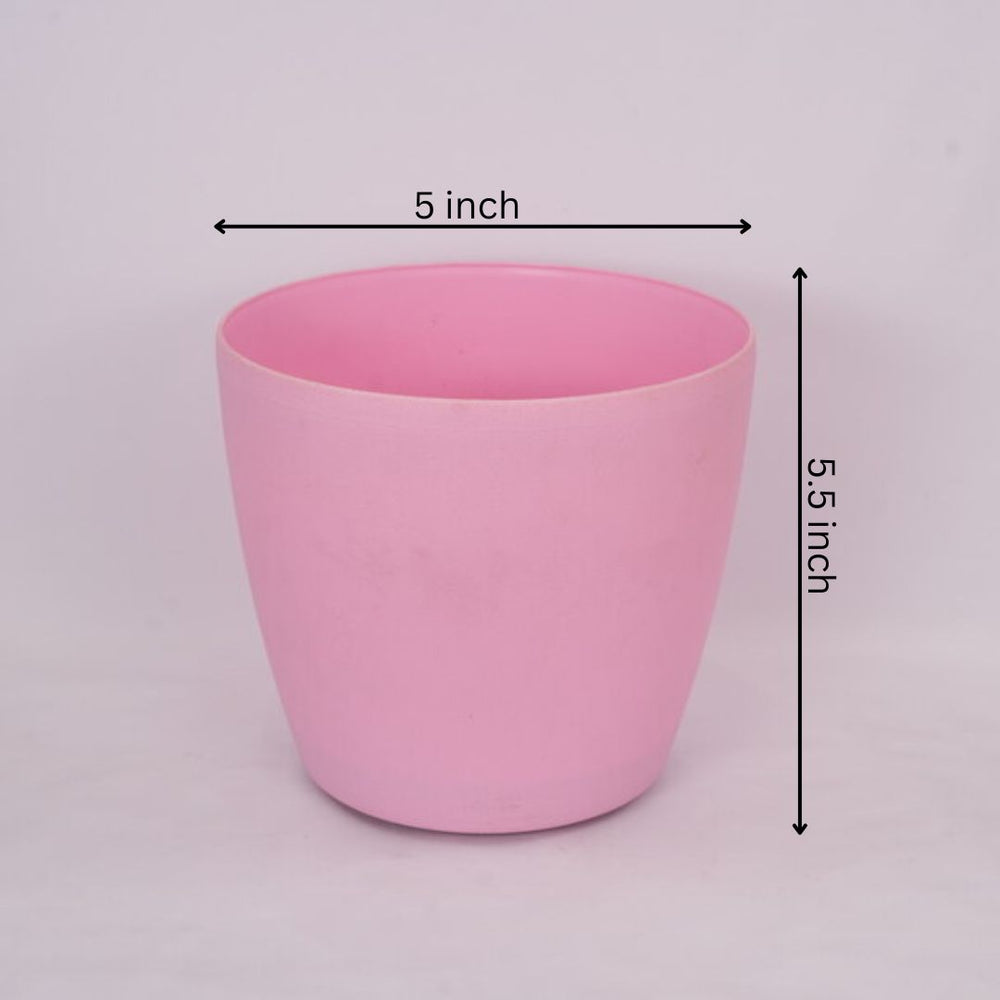 Polygon Green Plastic Round