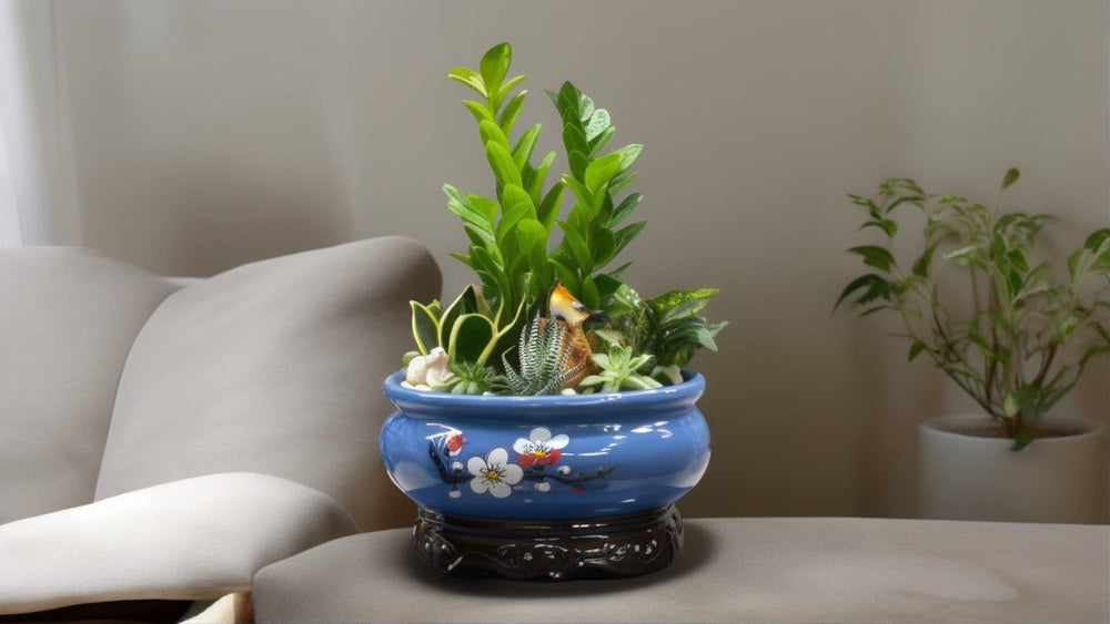 Designer Plants with ZZ plant