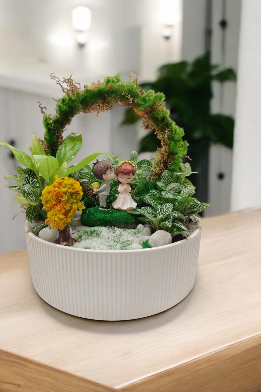 succulent arch succlent set with Artificial Moss Arch miniature – Crazyflora