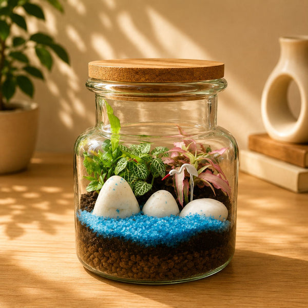 Crane's Cove Terrarium
