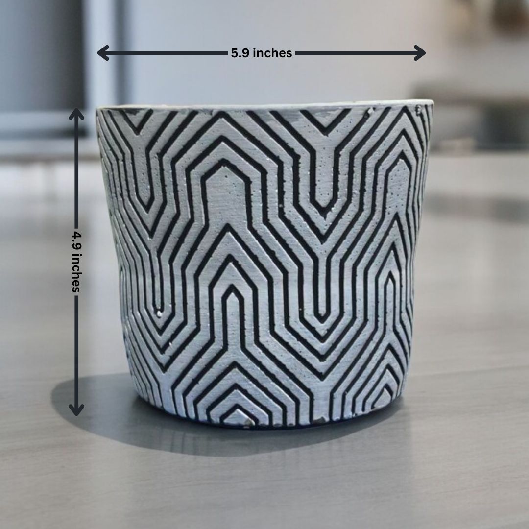 Modern planters Bangalore