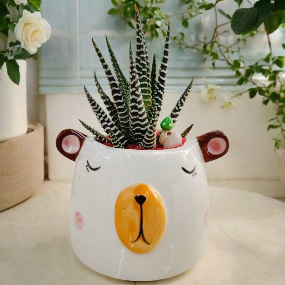 New Planter 20 – Elegant & Durable Pot for Indoor and Outdoor Plants