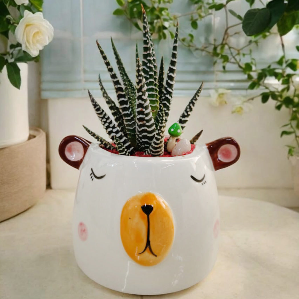 New Planter 20 – Elegant & Durable Pot for Indoor and Outdoor Plants