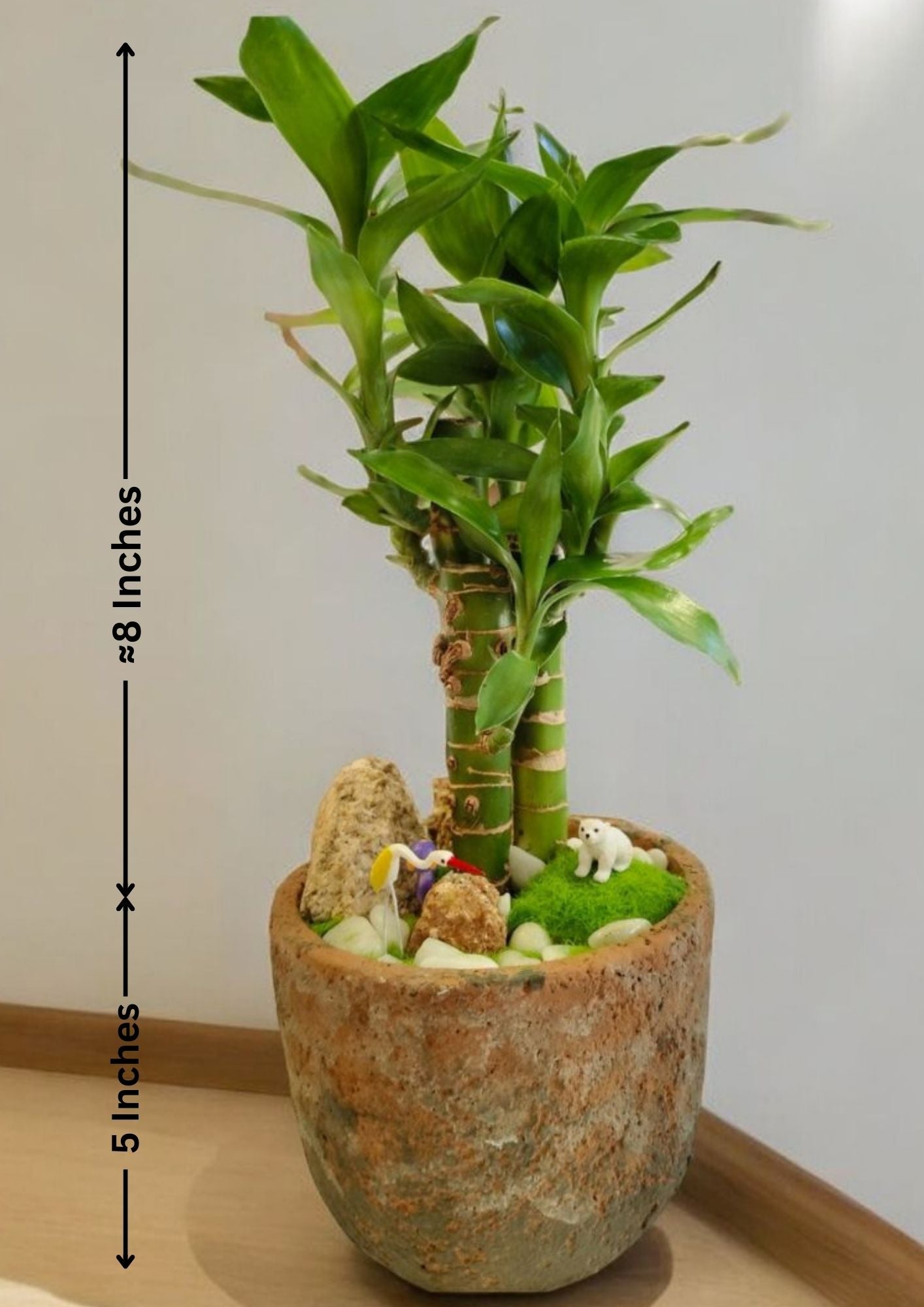 antique planters in Bangalore