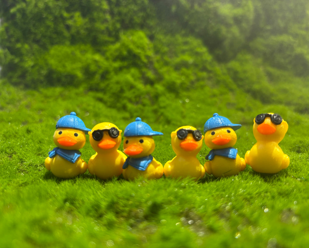 Cool Duck Miniature