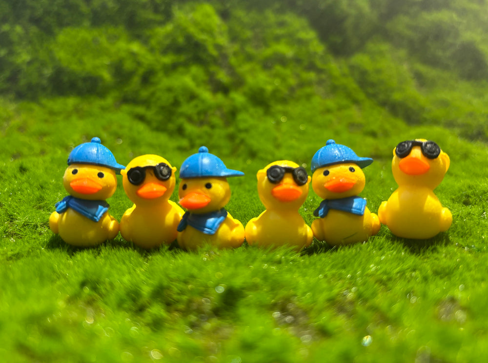 Cool Duck Miniature