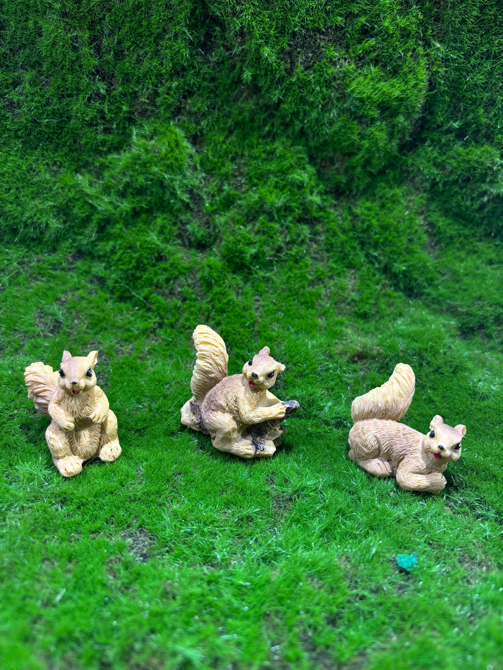 Curious Squirrel Miniature