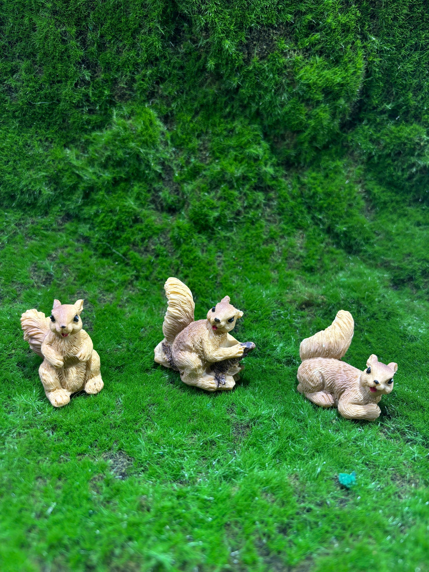 Curious Squirrel Miniature