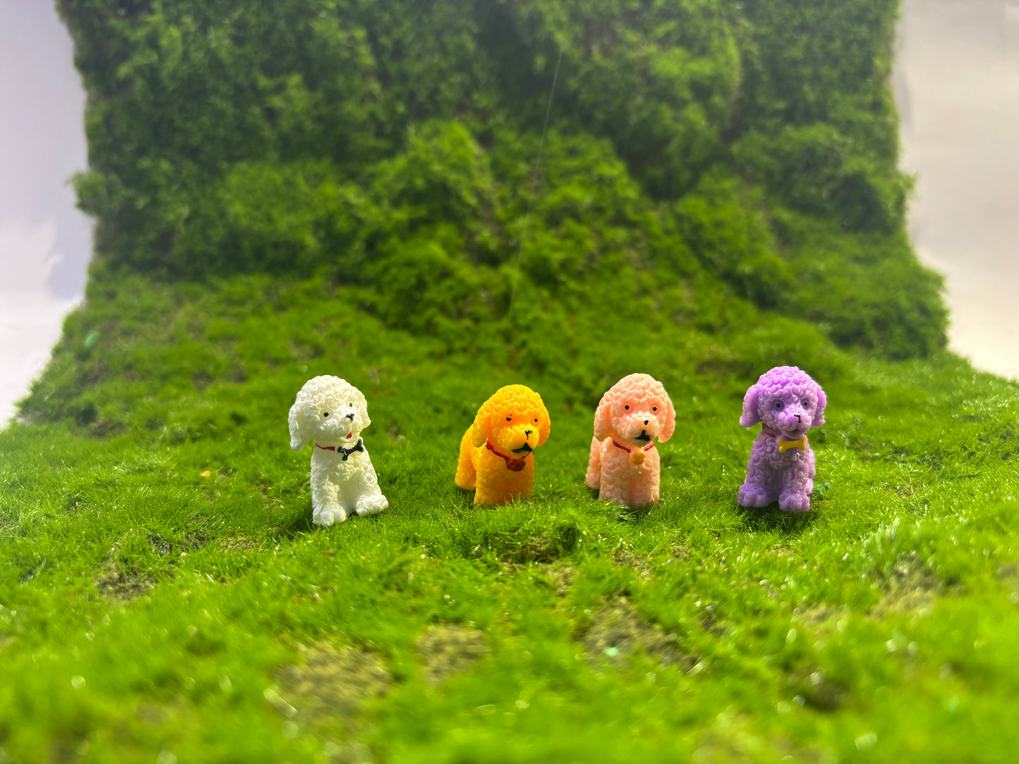 Cute Dog Miniature