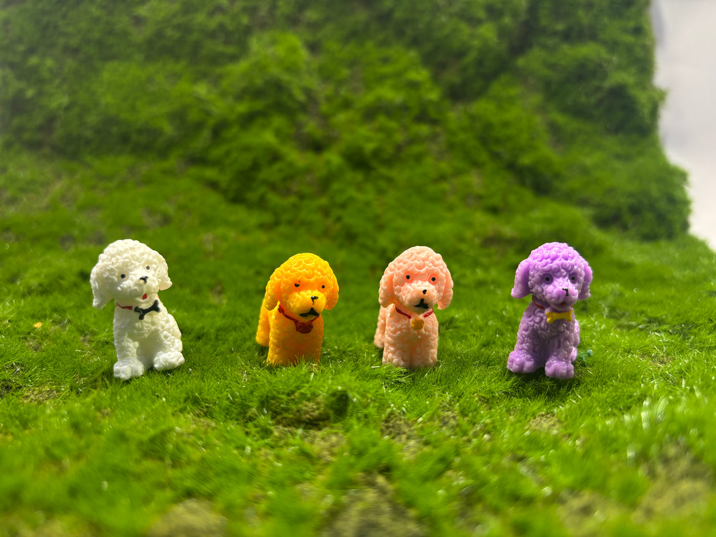 Cute Dog Miniature