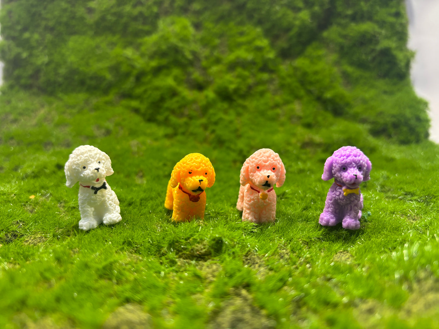 Cute Dog Miniature