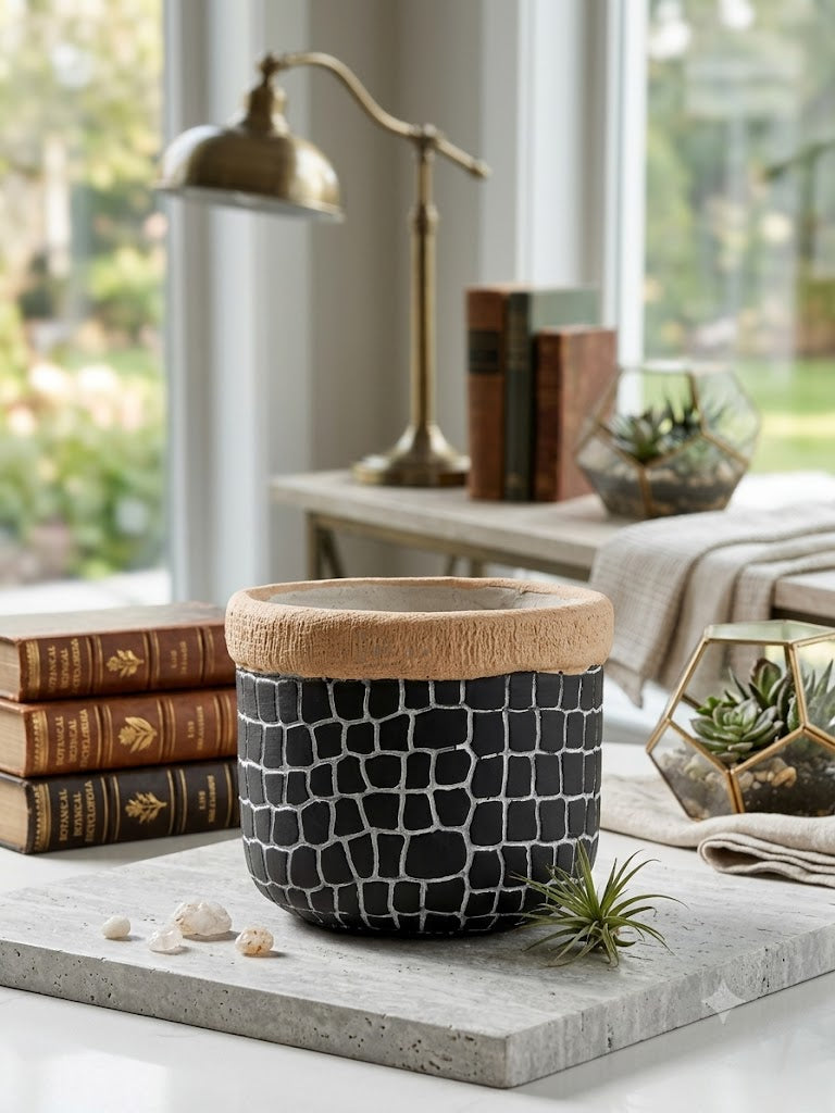 Feng Shui Brazilian Wood Plant with Cement Planter