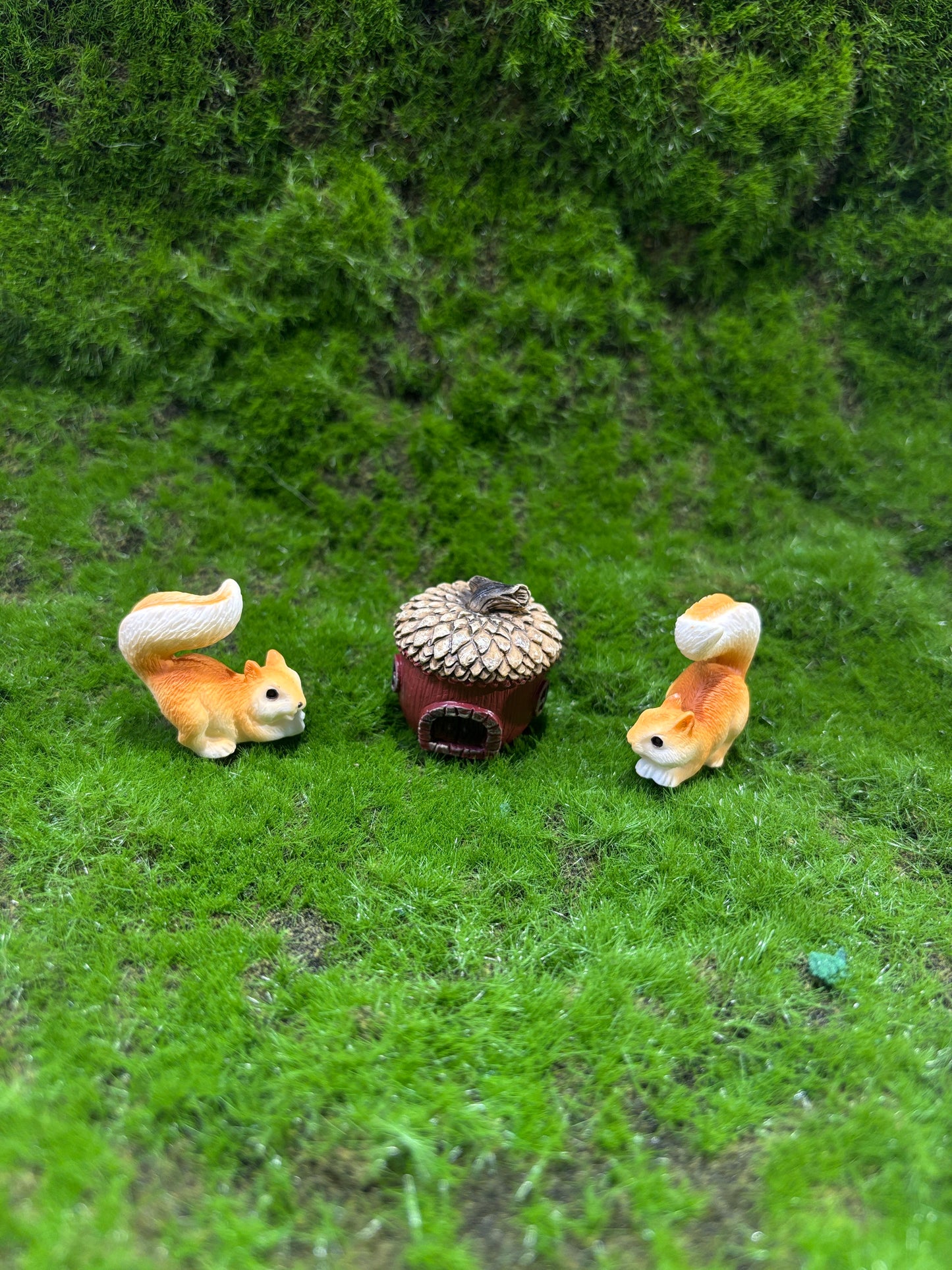 Lively Squirrel Miniature