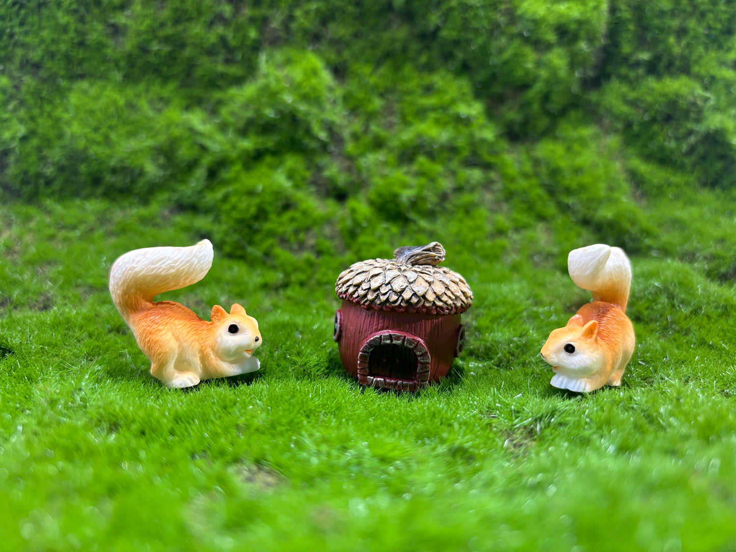 Lively Squirrel Miniature