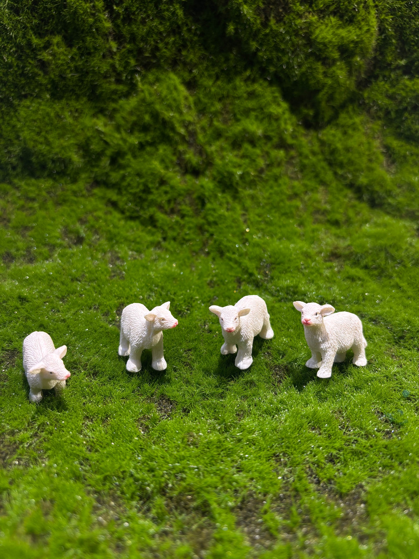 Mellow Cow Miniature