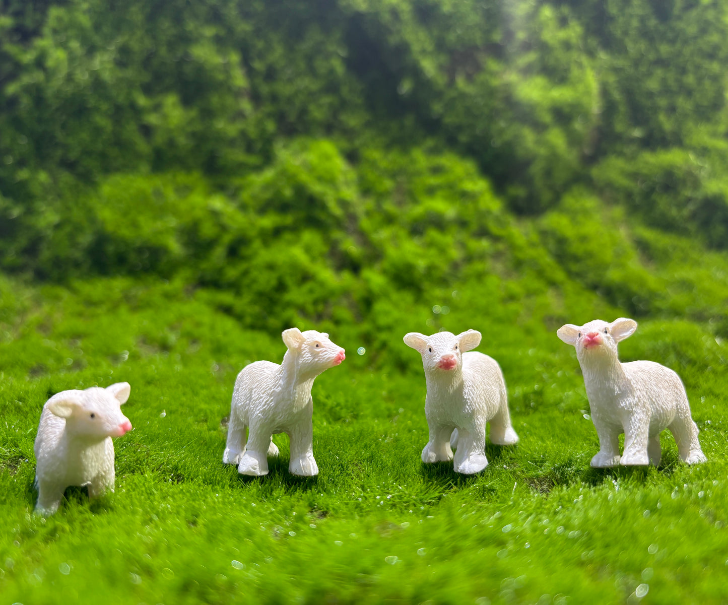 Mellow Cow Miniature