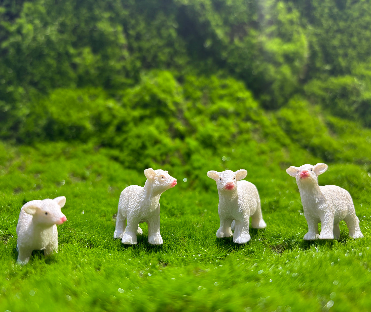 Mellow Cow Miniature