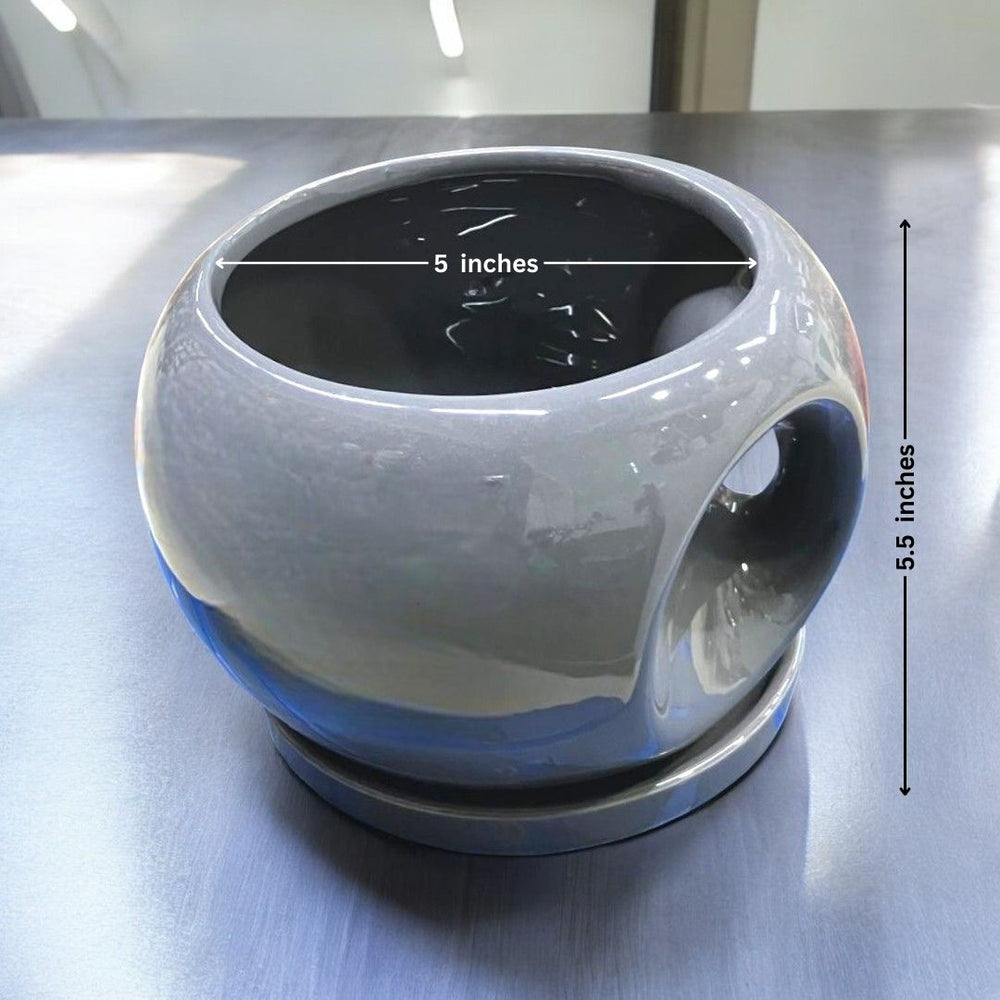 Apple pot with handle and tray