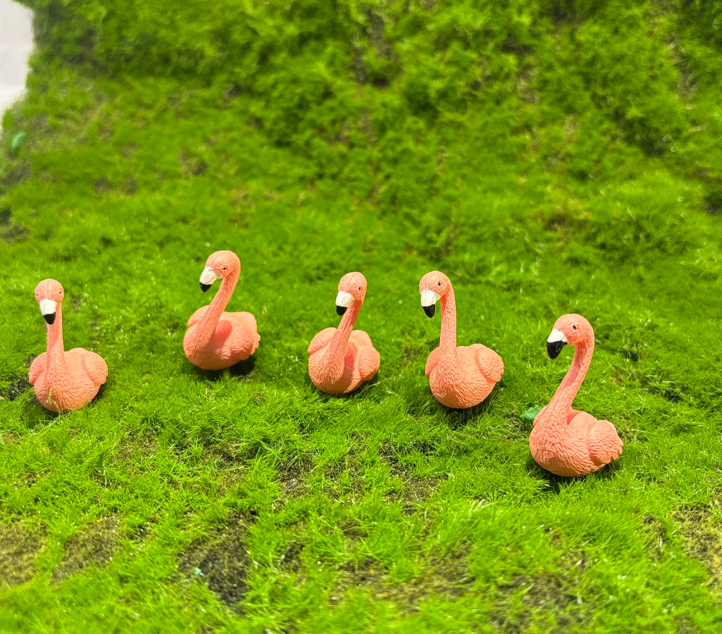 Pink Swan Miniature