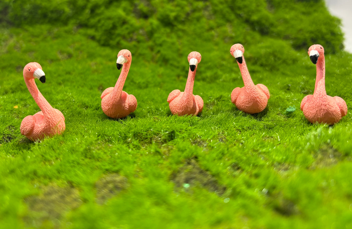 Pink Swan Miniature