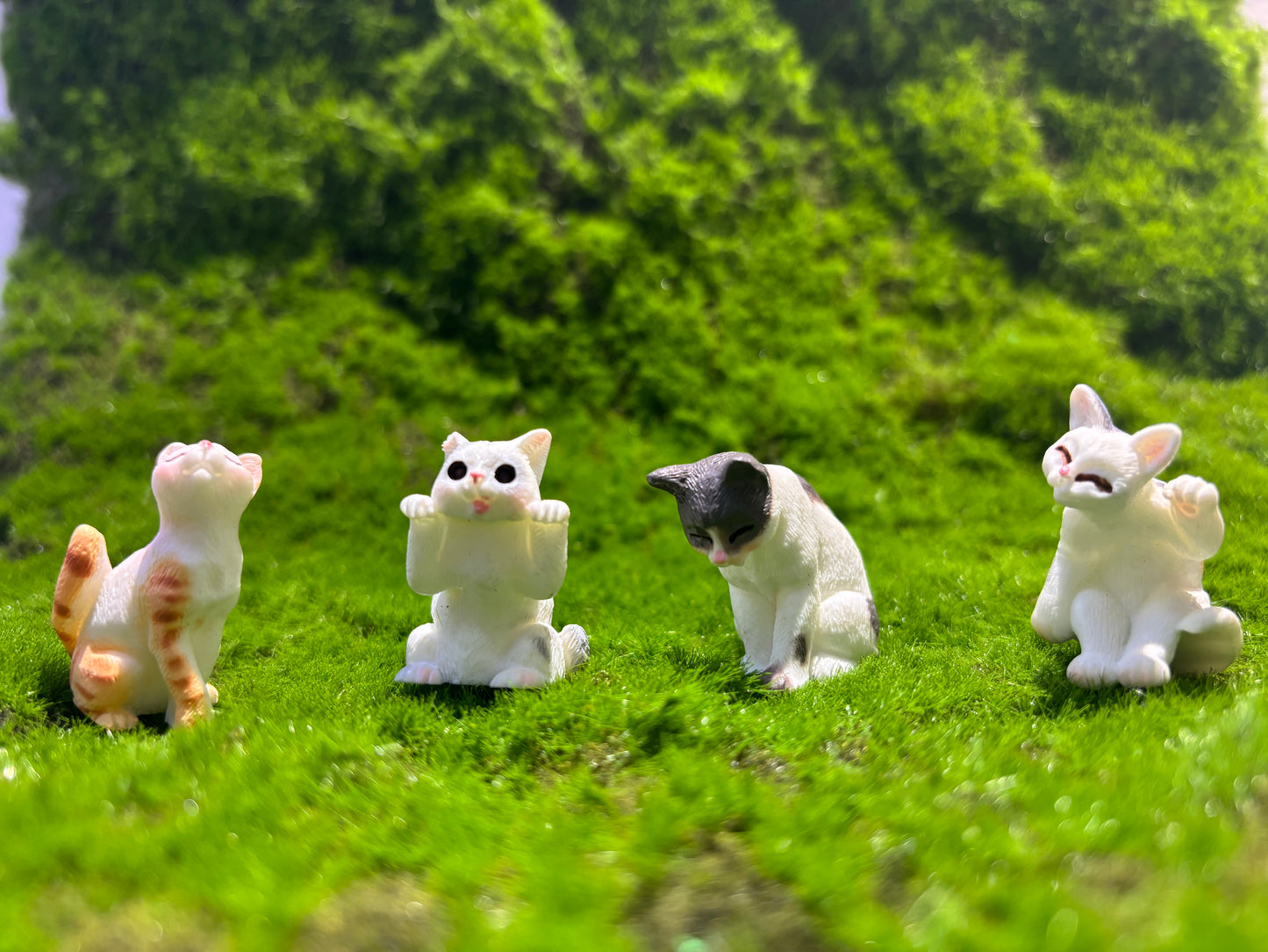 Playful Cat Miniature
