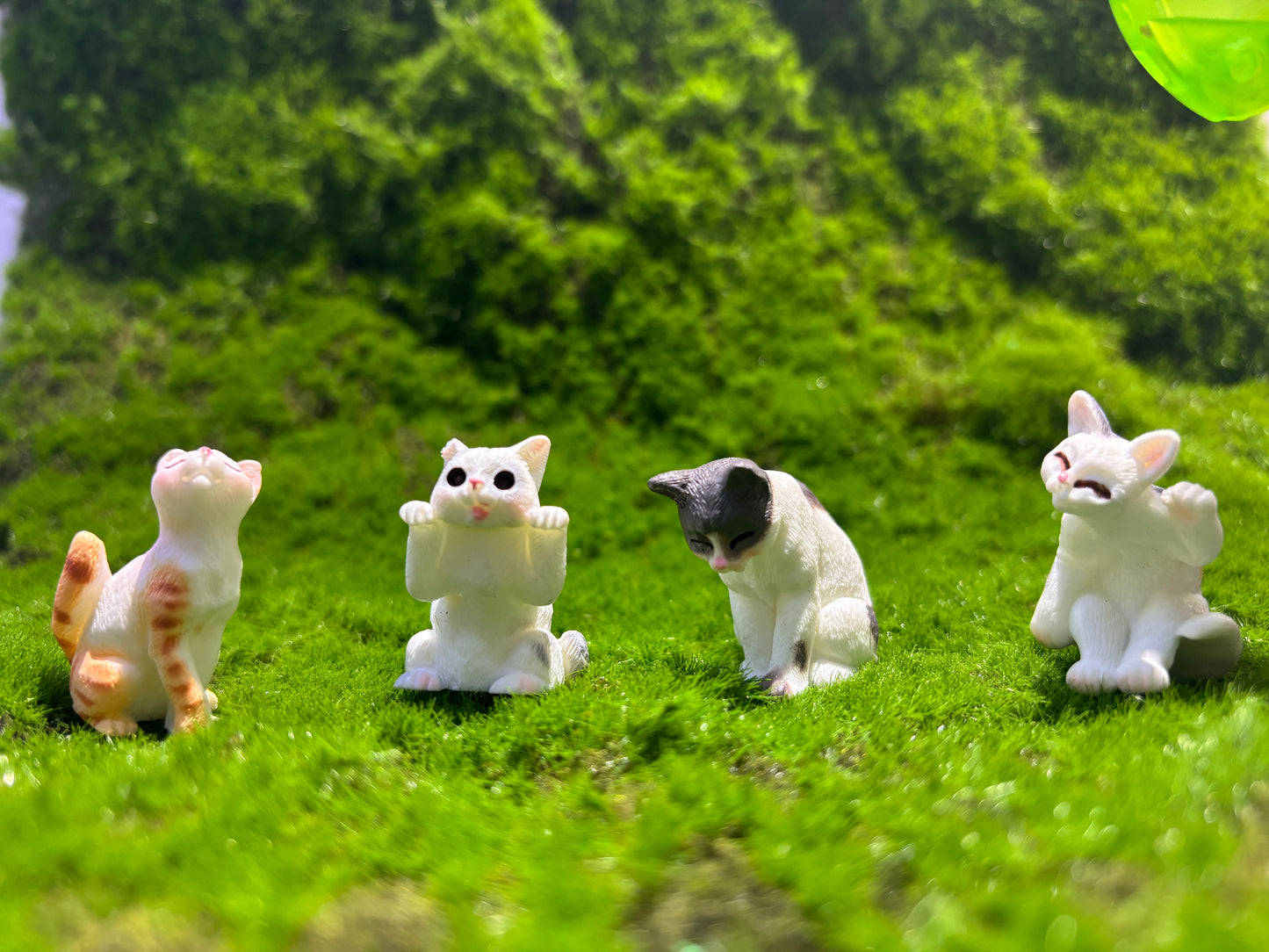 Playful Cat Miniature