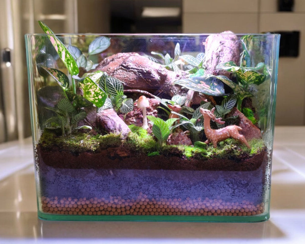 glass terrarium for succulents In Bangalore
