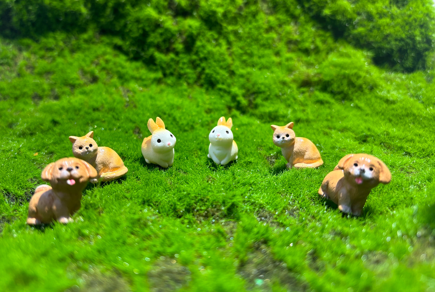 Sweet Animal Miniature