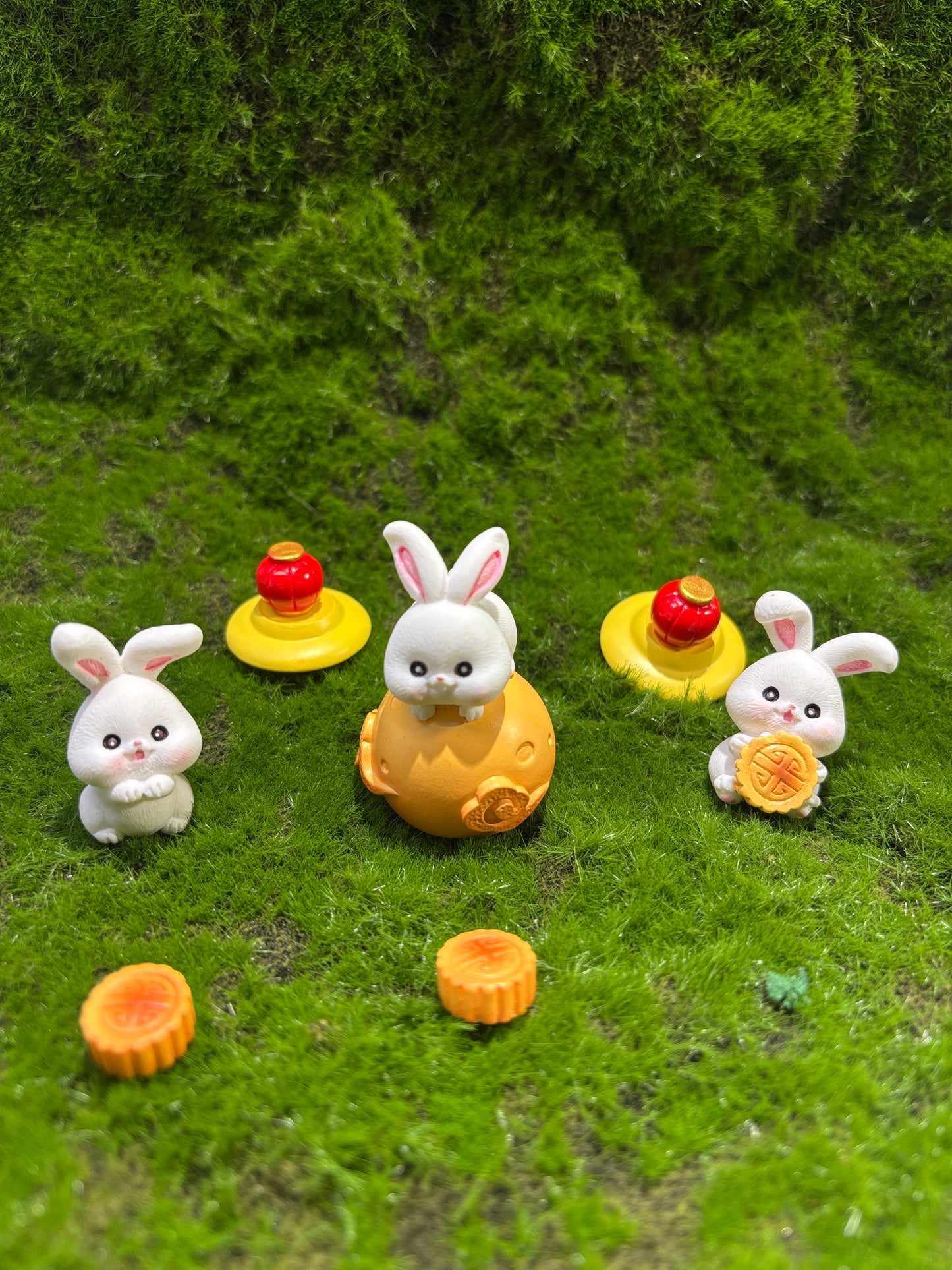 Timid Rabbit Miniature