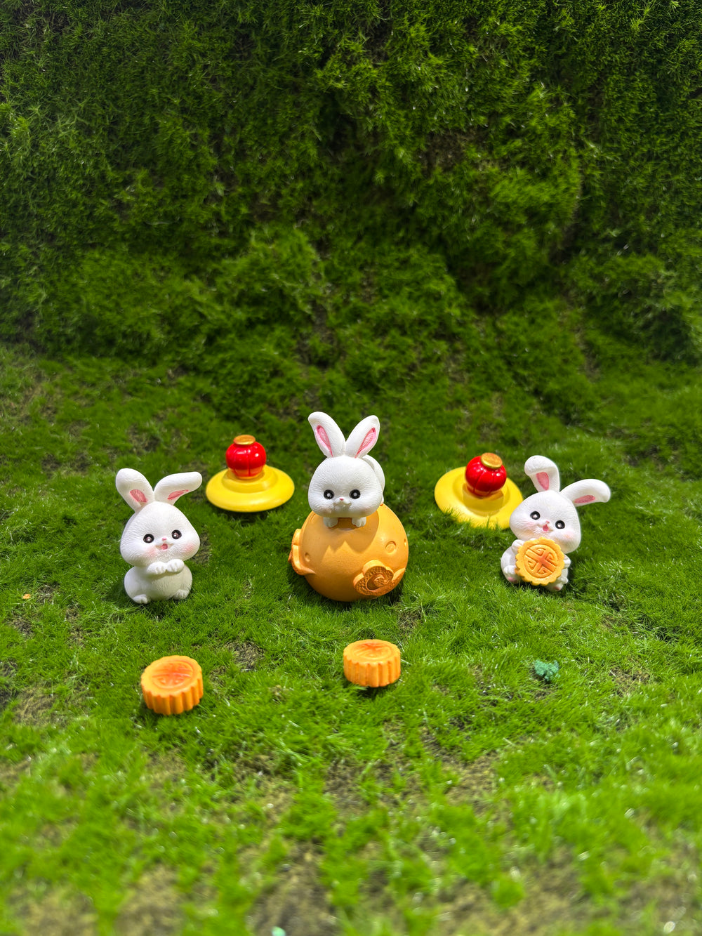 Timid Rabbit Miniature
