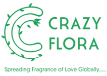 crazy-logo