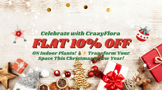 Celebrate Christmas and New Year with Greenery & Savings!