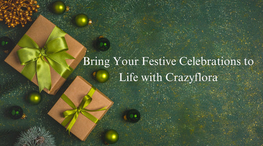 Bring Your Festive Celebrations to Life with Crazyflora