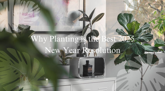 Why Planting is the Best 2025 New Year Resolution