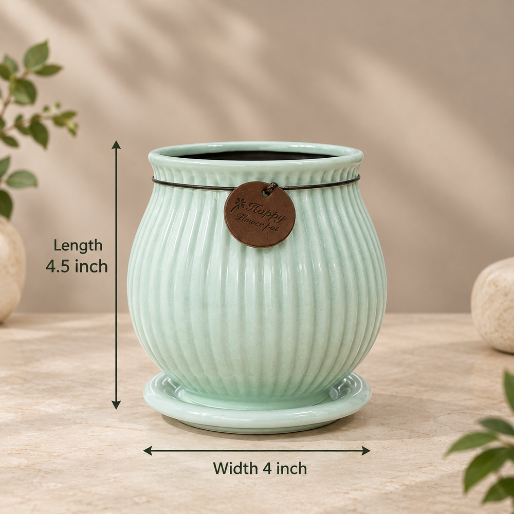 Ribbed Belly Planter - Small in Mint Green, with matching saucer