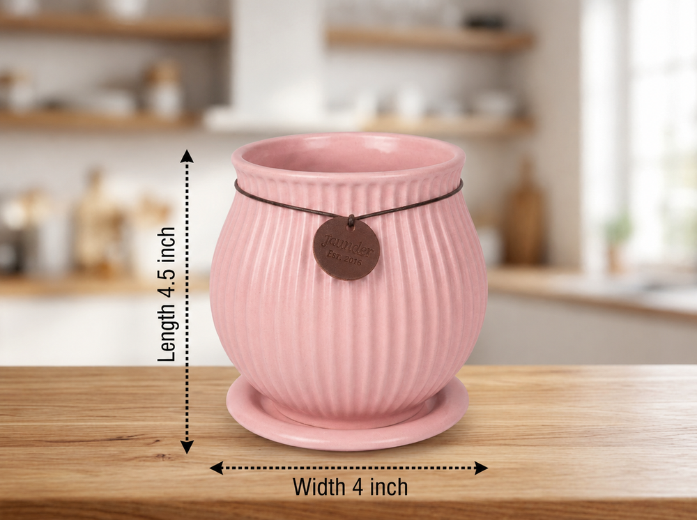 Ribbed Belly Planter - Small in Pink, with matching saucer