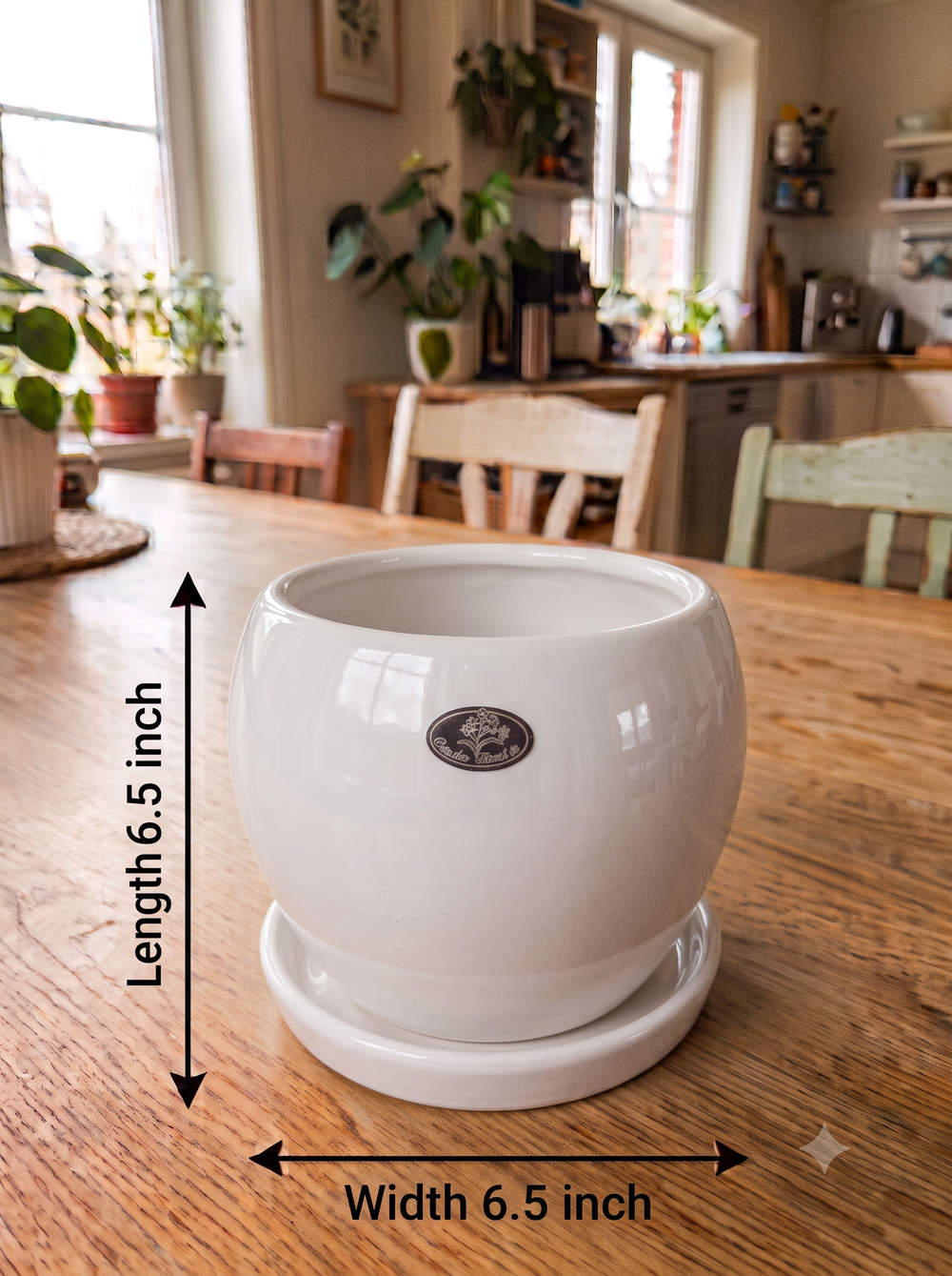 Apple Planter - XL in White