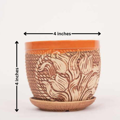 Design Pot with Tray